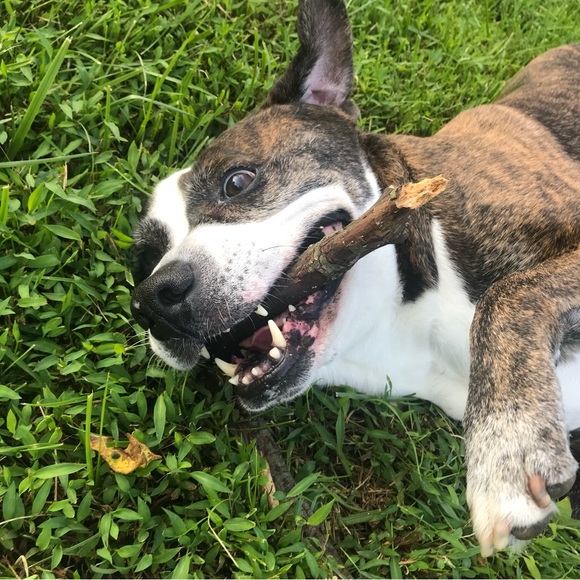 Meet your Posher, Maegan - Picture 5 of 16